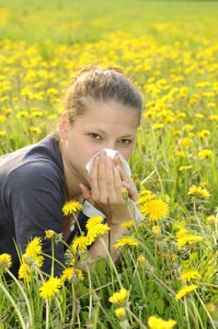 Welche Allergieauslöser müssen Pollenallergiker meiden?